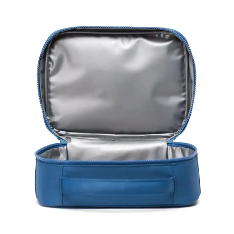 Insulated Lunch tote