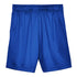 Royal Blue Youth Team 365 Zone Performance Shorts
