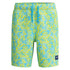 Speedo Boys Redondo Volley 15" Swim Short Arctic Glass