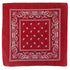 Red Paisley Bandana