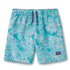 Boys Speedo Board Short