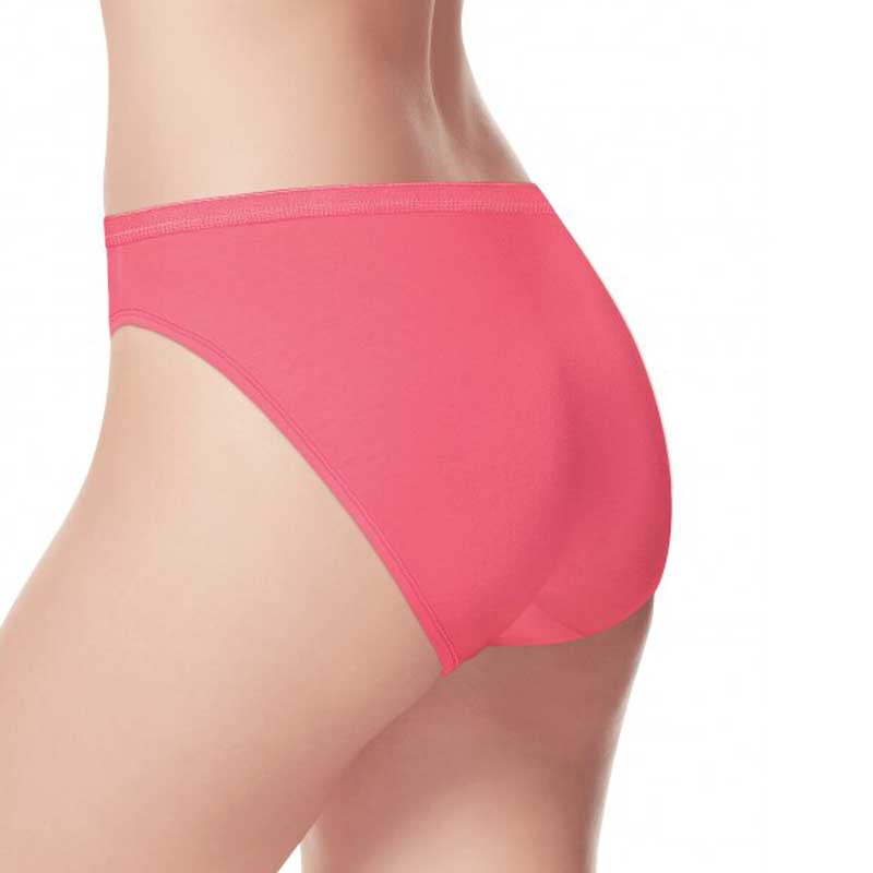 Hanes Ladies hi-Cut Panties