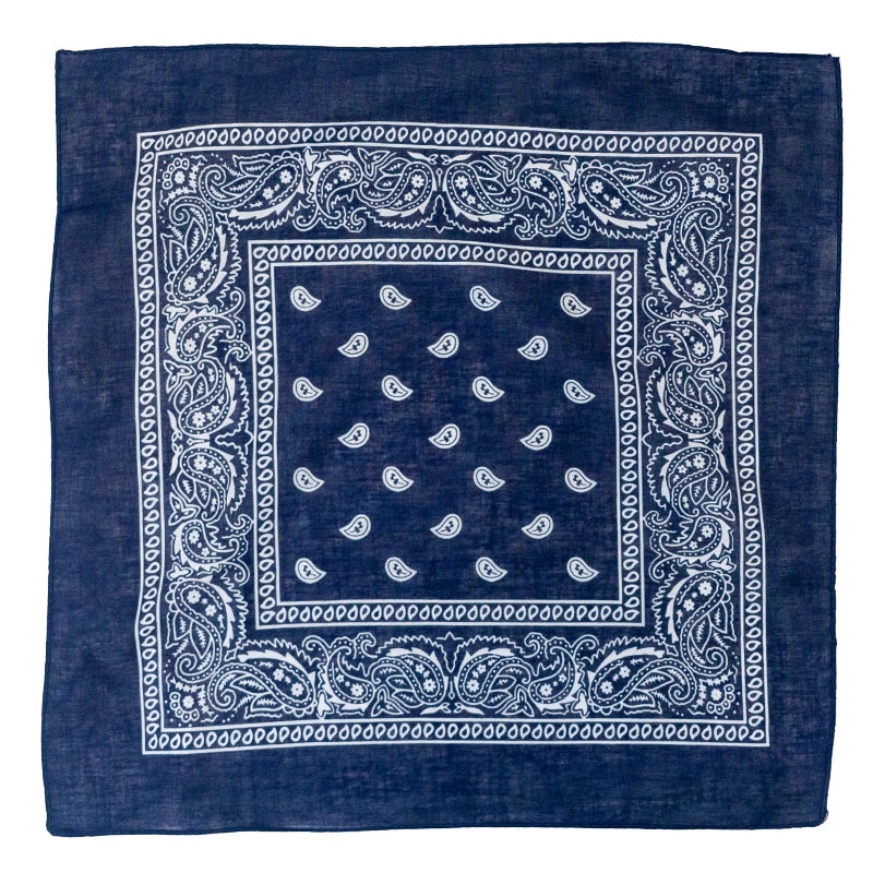 Blue Cotton Paisley Bandana