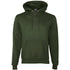 Heather Green Champion Hooded sweatshirt 