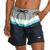 Speedo Volley men'a 18" Swim Trunks